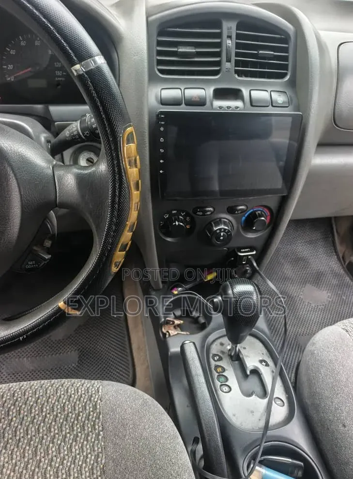 Hyundai Santa Fe 2004 Gray
