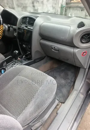 Hyundai Santa Fe 2004 Gray