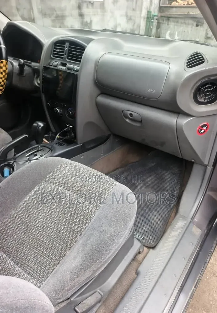 Hyundai Santa Fe 2004 Gray