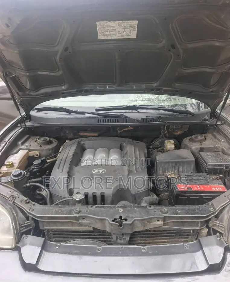 Hyundai Santa Fe 2004 Gray