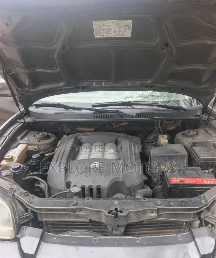 Hyundai Santa Fe 2004 Gray