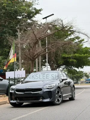 Kia Stinger 2021 Gray