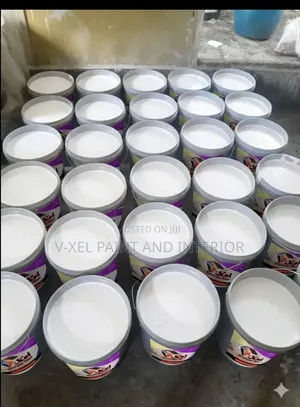 Interior and Exterior Painter