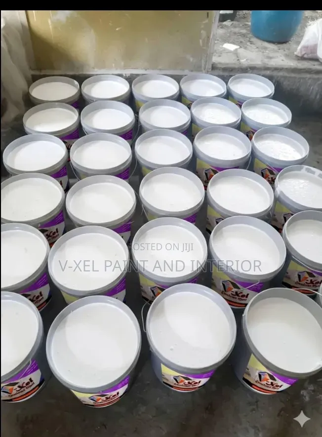 Interior and Exterior Painter