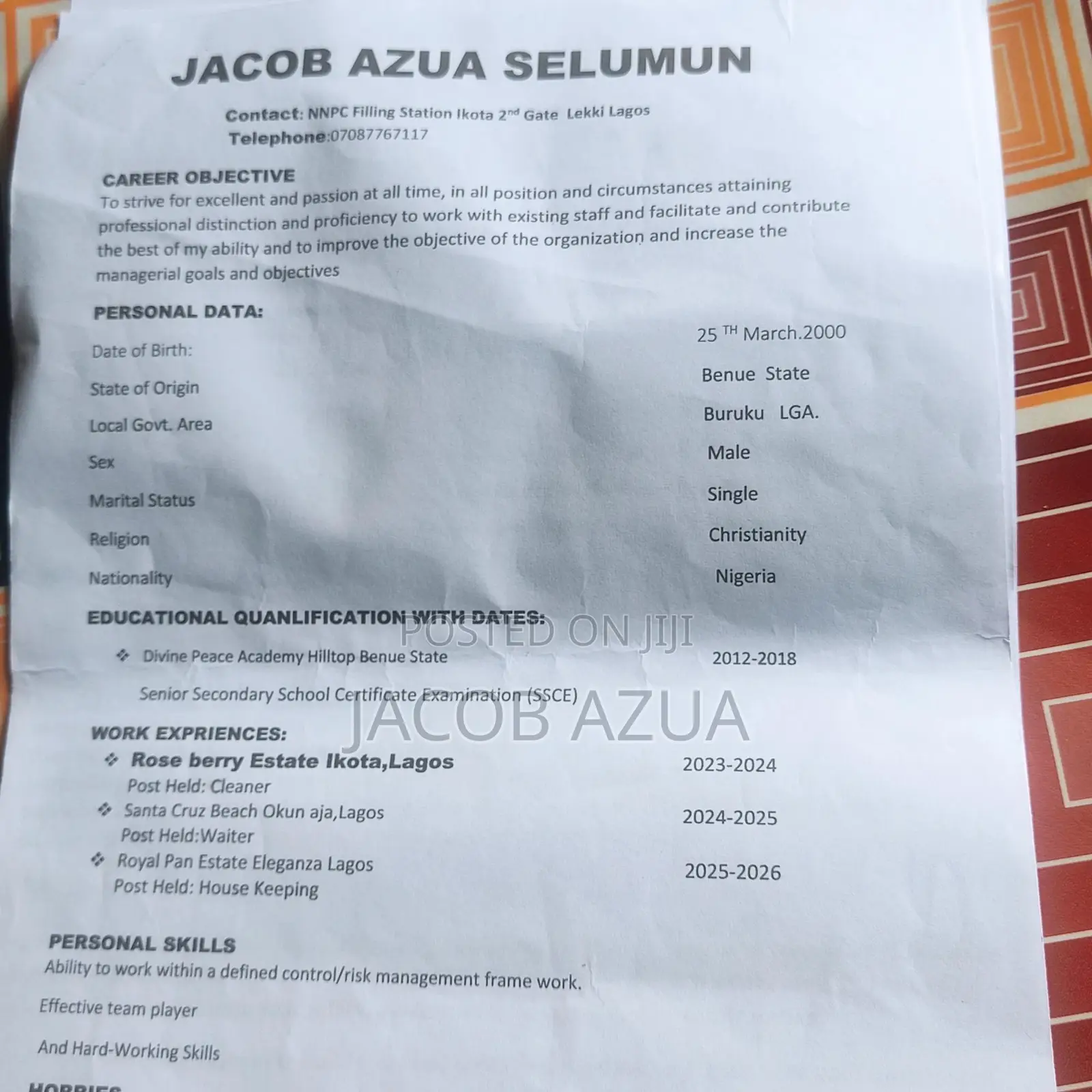 Housekeeping Cleaning CV