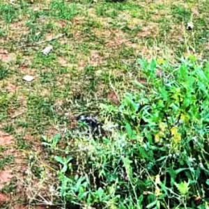452sqm Land Available for Sale