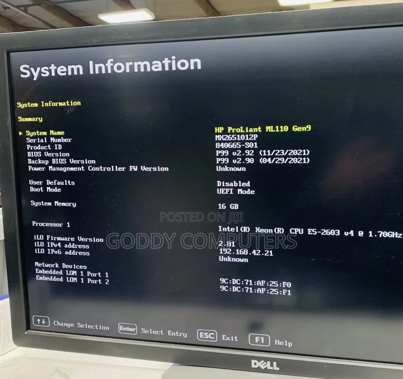 Server HP ProLiant ML 16GB Intel Xeon HDD 1T
