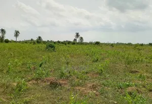 Land For Sale In Eghudu, Upper Ekehuan Benin City