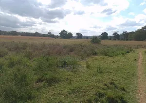 Land For Sale In Eghudu, Upper Ekehuan Benin City