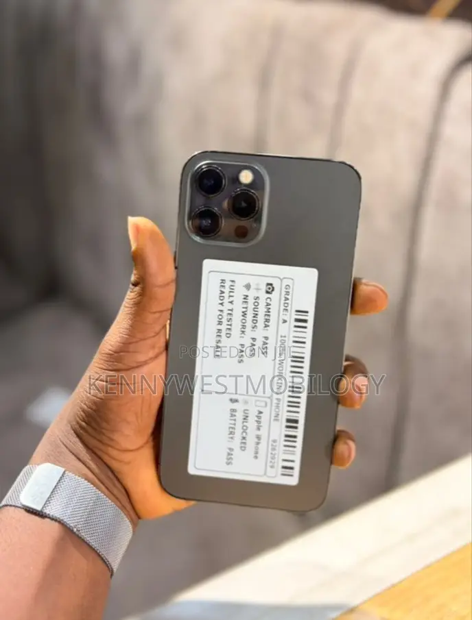 Apple iPhone 12 Pro Max 128 GB Silver