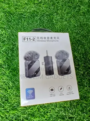 F11-2 Microphone