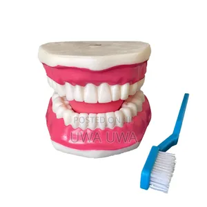 Dental Teeth Mood With Bush