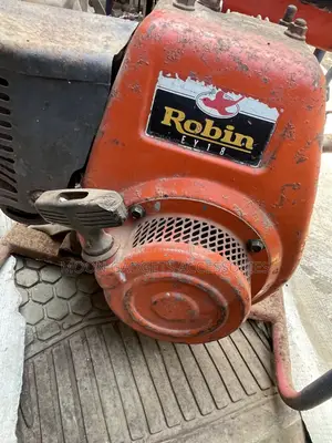 Robin 1900