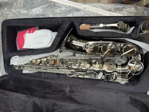 Professional Slade Alto Saxophone
