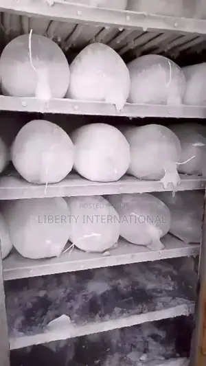 Solid 8 Hours Blocking Iceblock Production Machines Available Call Me
