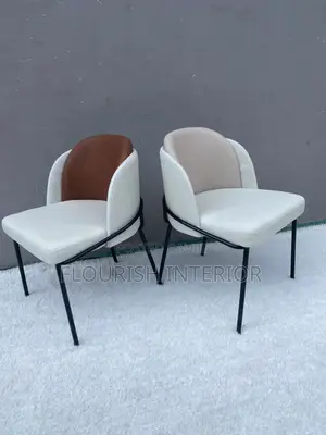 Luxury Standard Quality Imported Dining Chair