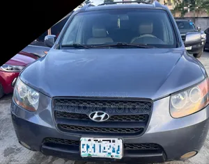 Hyundai Santa Fe 2008 Gray