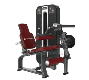 Leg Curl / Leg Extension Machine