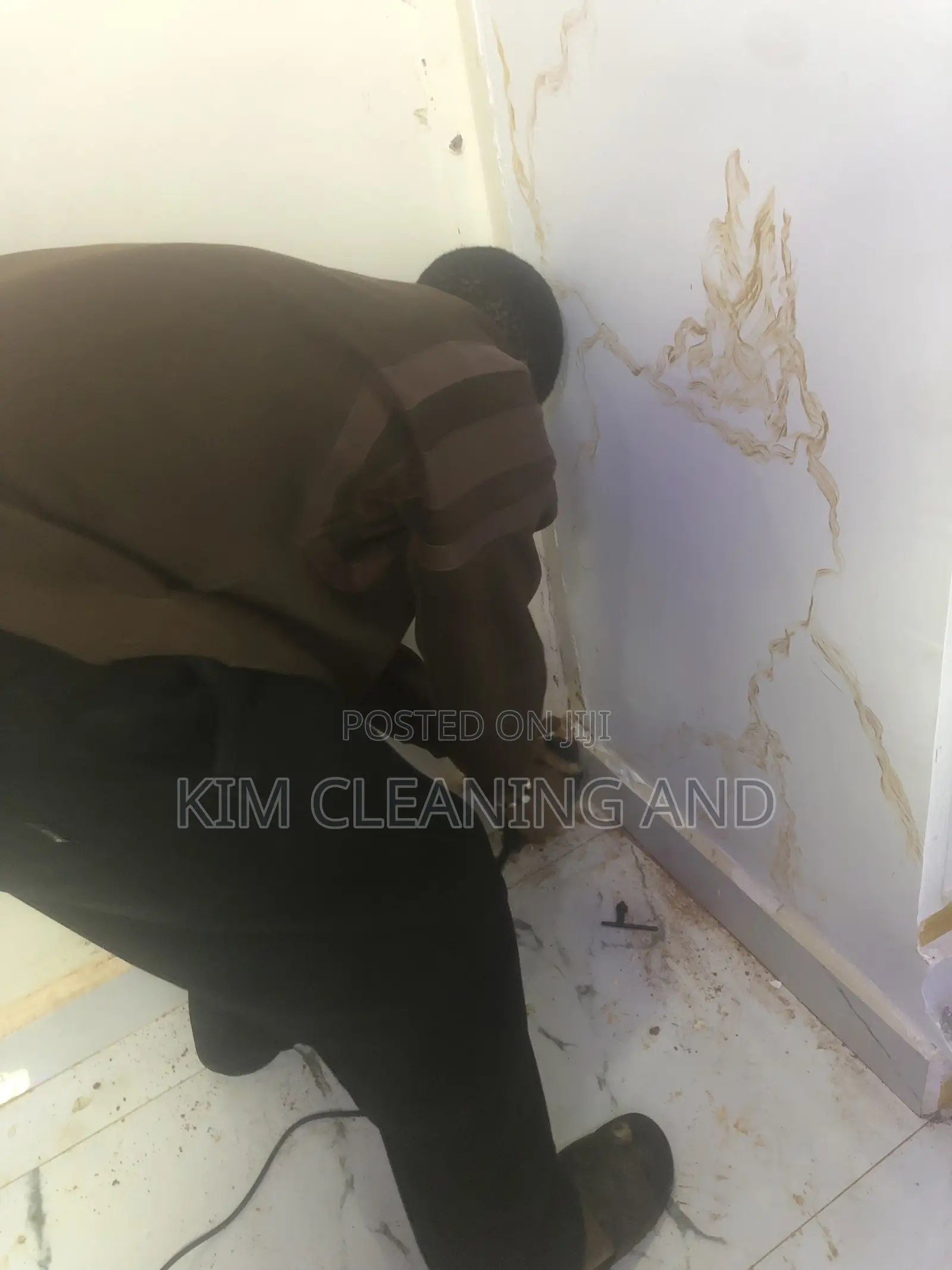 Termite Control