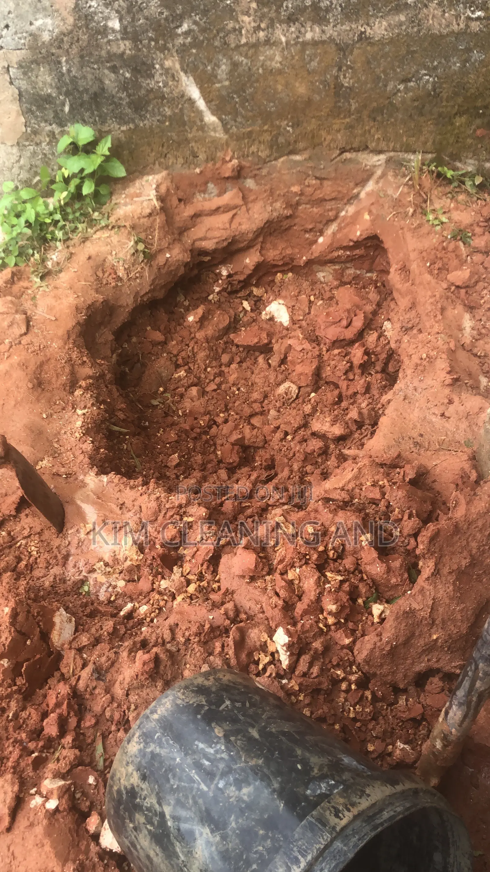 Termite Control