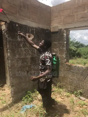 Termite Control