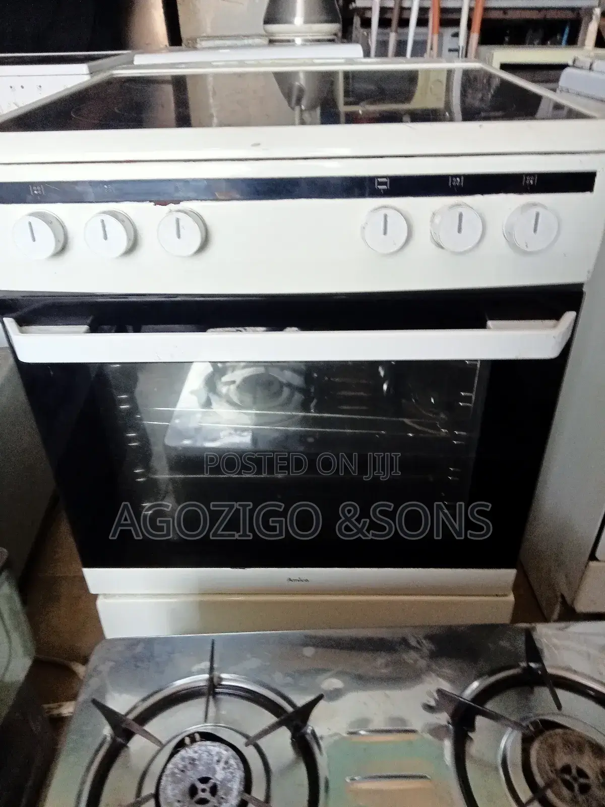 Standing Electric Cooker