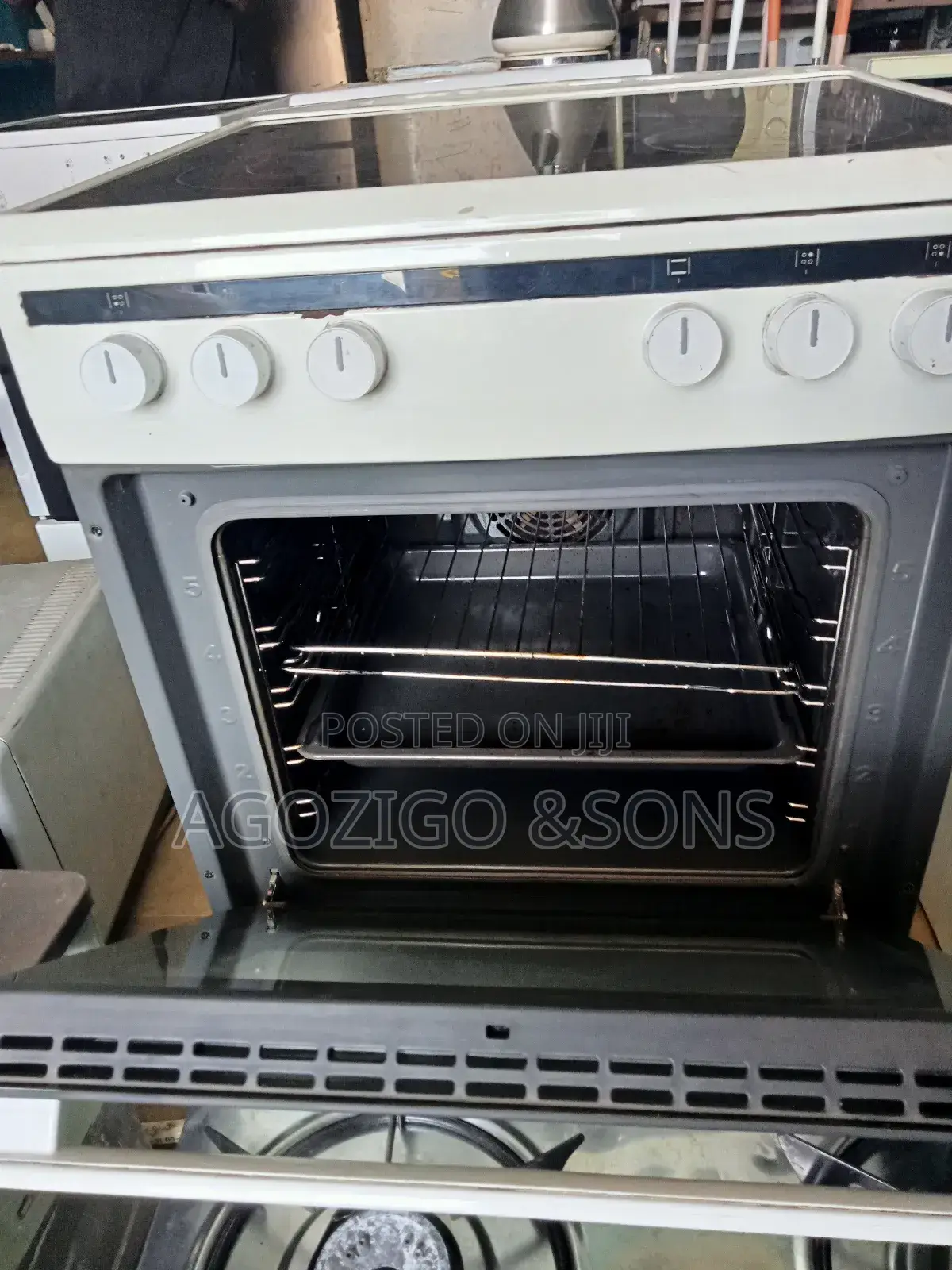Standing Electric Cooker