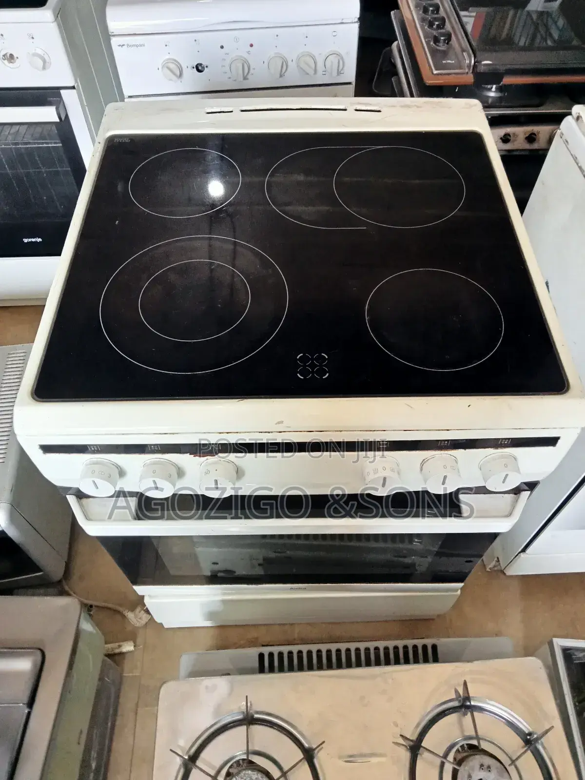 Standing Electric Cooker