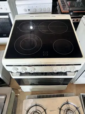 Standing Electric Cooker