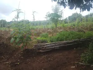 Land in Nwang Hill