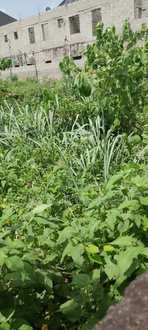 Half Plot of Land in P and T Estate, Ipaja