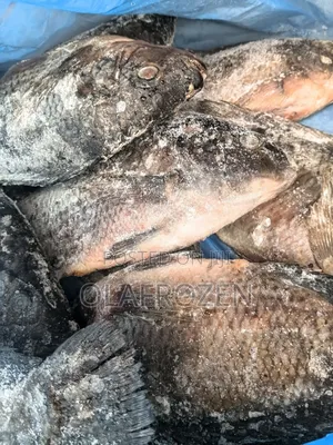 Frozen Foods