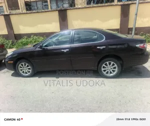 Lexus ES 300 2002 Brown