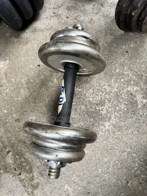 15kg Dumbbells Weight