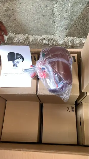 Liver,Pancreas and Duodenum Model