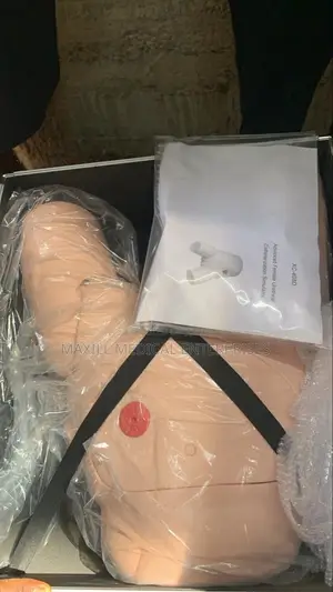 Female Catherization Model