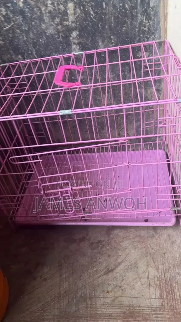 Collapsible Dog Cage