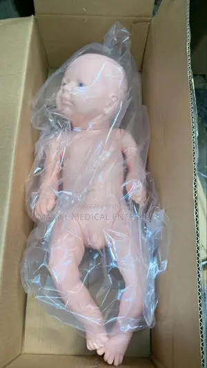 New Born Baby Model