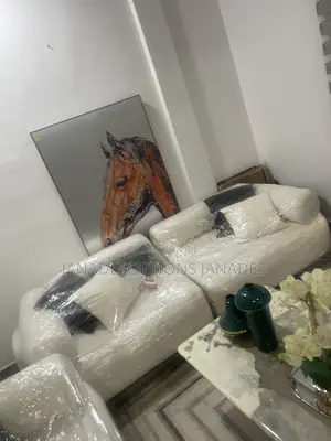 White Fancy and Luxurious Mid Back Sofa With Pillows