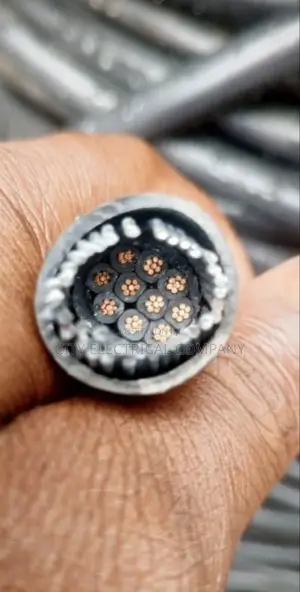 10x2.5mm Coleman Electric Cable Available