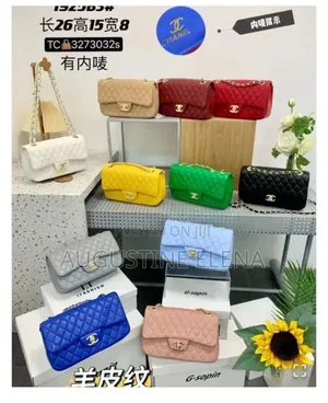 Coach Bag Fully Boxed and Channel Chain Hand Bags Fully Boxed