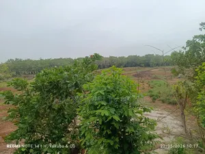 Plot of Land