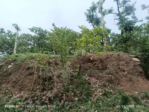 Plot of Land