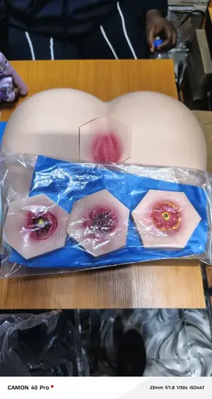 Stage Bed Sore Nursing Model