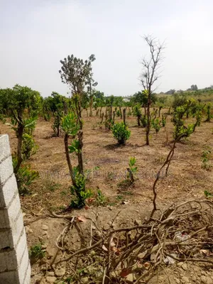 500sqm of Estate Plot:4bedrm Fully Detached Penthouse+Bq-Fcda Approved
