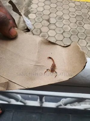Scorpion and Snake Fumigation Prof