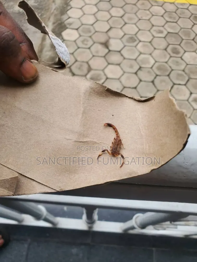 Scorpion and Snake Fumigation Prof