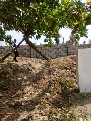 500sqm of Estate Plot:5 Bedroom Fully Detached Duplex+Bq-Fcda Approved