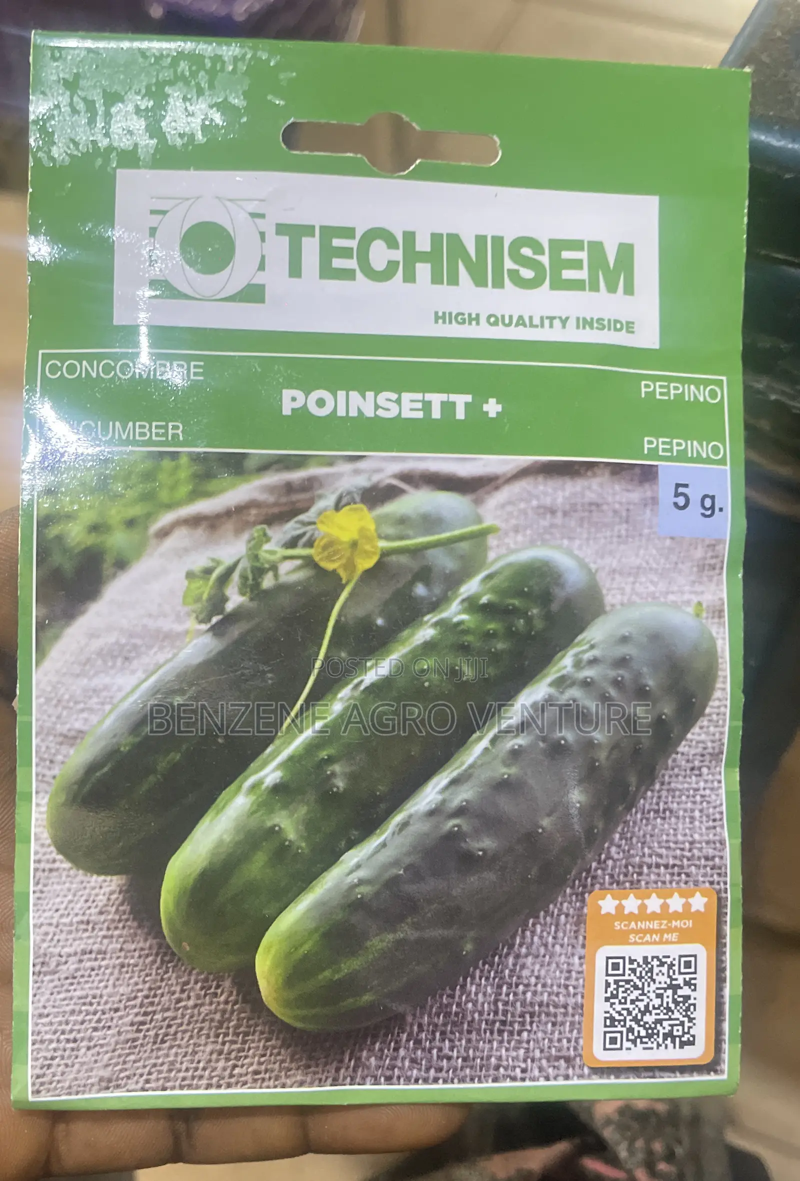 Cucumber Seeds
