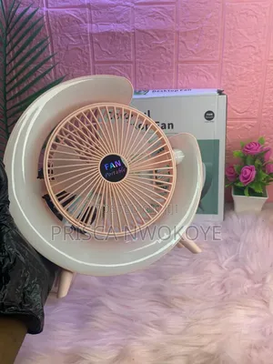 Rechargeable Fan